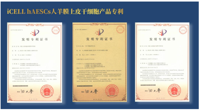 赛傲生物iCELL hAESCs已取得国家药监局药品审评中心（CDE）I 类新药临床试验批文