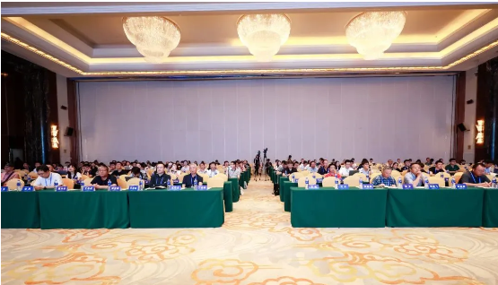 QQ_1725244992656.png