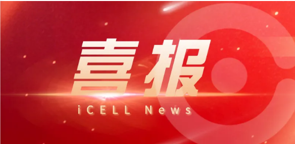 喜报 | 博瑞迪迈入全国“专精特新”小巨人企业行列！