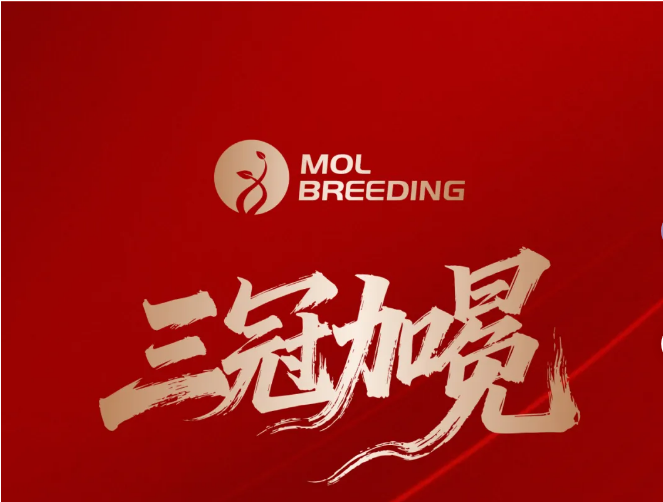 捷报 | 博瑞迪SNP分型准确性折桂ISAG全球Rank1